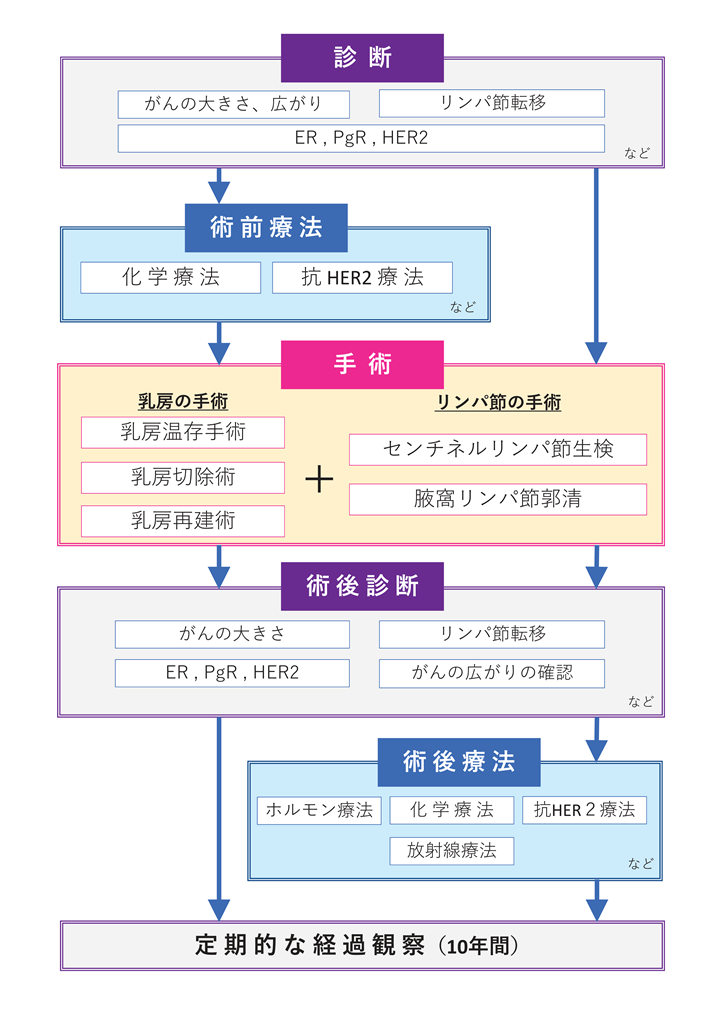 乳がんの検査から治療の流れ