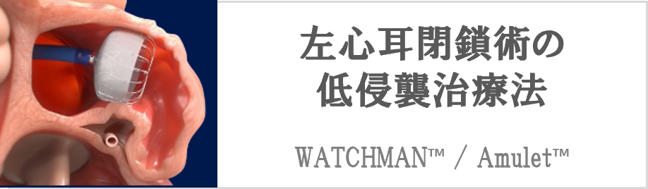 左心耳閉鎖術の低侵襲治療法