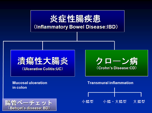 炎症性腸疾患 診療科 部門紹介 社会福祉法人 三井記念病院