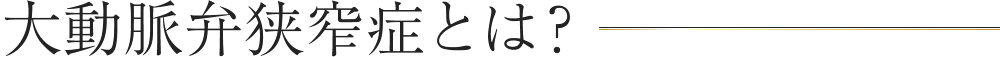 大動脈弁狭窄症(だいどうみゃくべんきょうさくしょう)とは?